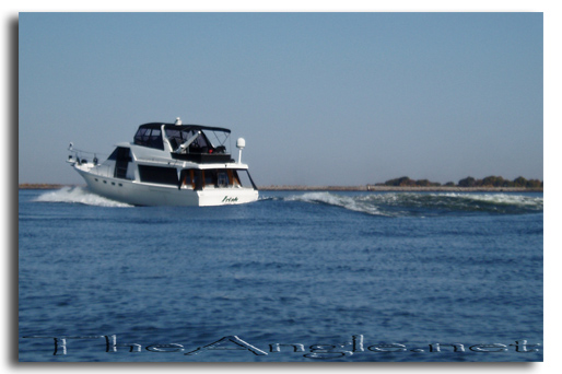 [Image, California Delta Striper Fly Fishing]