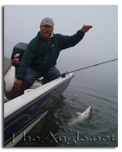 [Image, California Delta Striper Fly Fishing, Jose Silva]