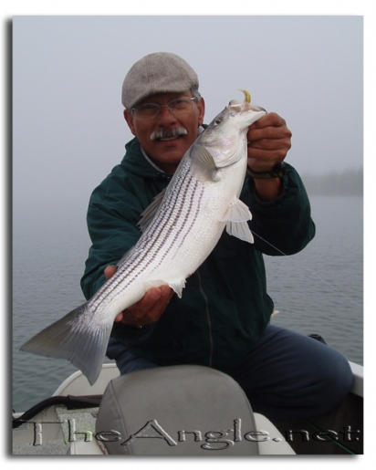 [Image, California Delta Striper Fly Fishing, Jose Silva]