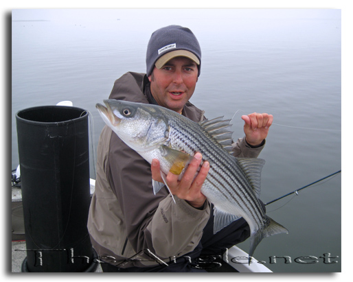 [Image, California Delta Striper Fly Fishing]