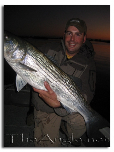 [Image, California Delta Striper Fly Fishing]