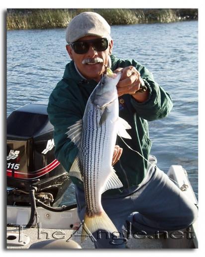 [Image, California Delta Striper Fly Fishing, Jose Silva]