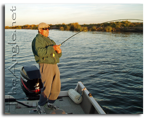 [Image, California Delta Striper Fly Fishing, Jose Silva]