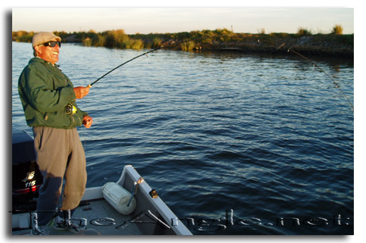 [Image, California Delta Striper Fly Fishing, Jose Silva]