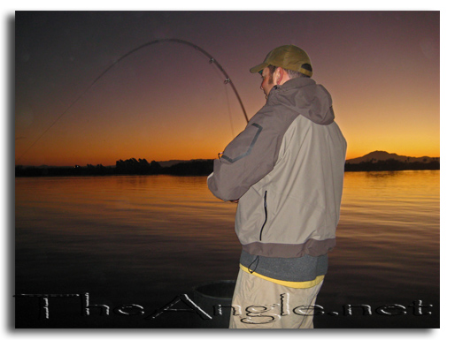 [Image, California Delta Striper Fly Fishing]