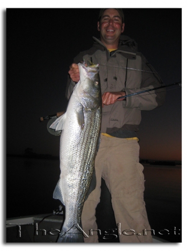 [Image, California Delta Striper Fly Fishing]