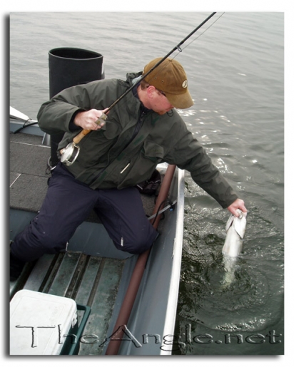 [Image, California Delta Striper Fly Fishing]