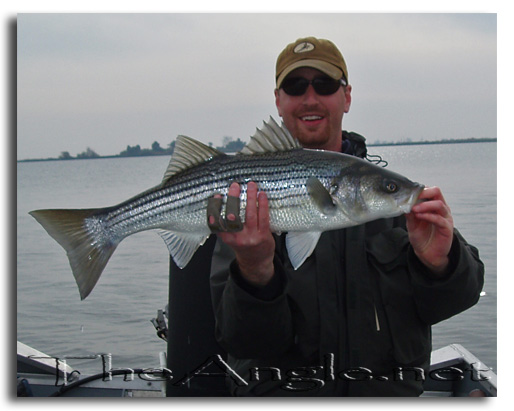 [Image, California Delta Striper Fly Fishing]