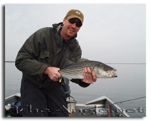 [Image, California Delta Striper Fly Fishing]