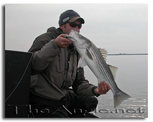 [Image, California Delta Striper Fly Fishing]