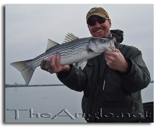 [Image, California Delta Striper Fly Fishing]