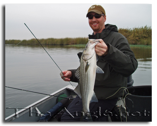 [Image, California Delta Striper Fly Fishing]