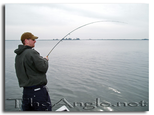 [Image, California Delta Striper Fly Fishing]