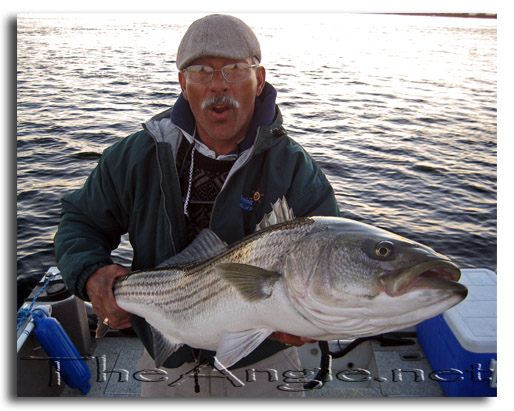 [Image, Jose Silva 30 pound California Delta Striper Fly Fishing]