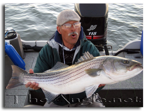 [Image, Jose Silva Huge Delta Striper]