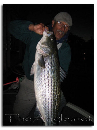 [Image, Jose Silva 30 pounder California Delta Striper Fly Fishing]