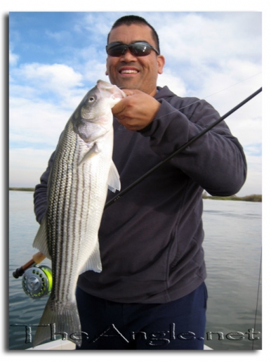 [Image, Gabriel Roussere California Delta Striper Fly Fishing]