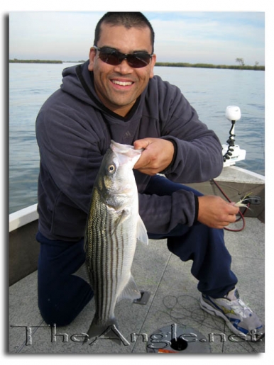 [Image, Gabriel Roussere California Delta Striper Fly Fishing]