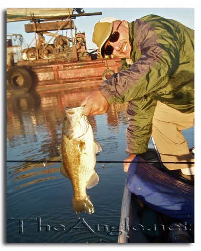 [Image, Al Neves, Large Black Bass ]