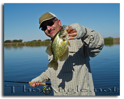 [Image, Al Neves, Delta Fly Caught Crappie]