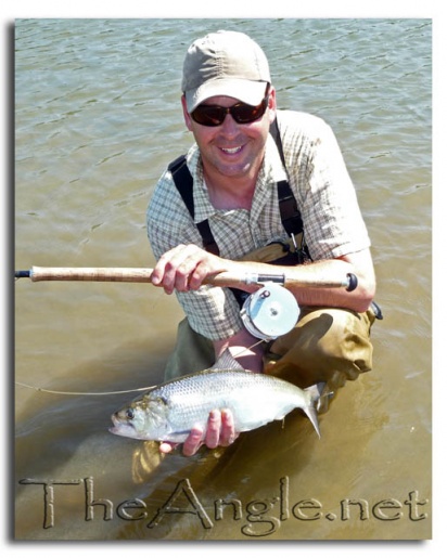 [Image: Shad Fly Fishing]