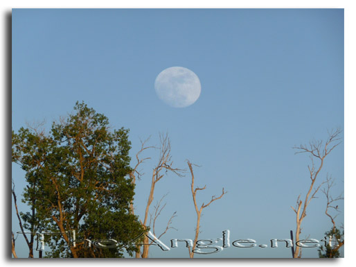 [Image: Full Moon over the Sacramento River]