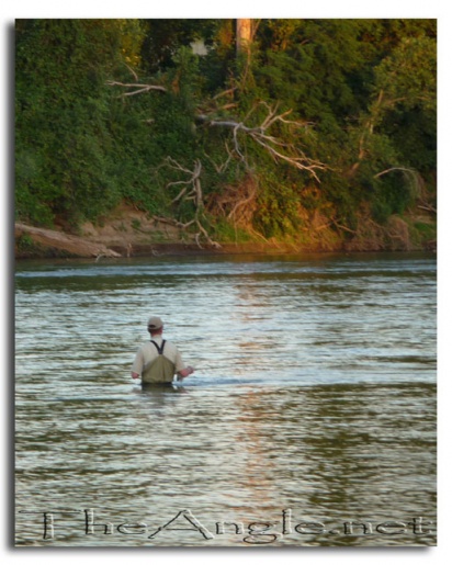 [Image: Shad Bucket]