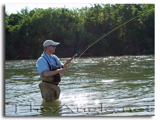 [Image: Dave Fulthorpe fighting American Shad with spey rod]