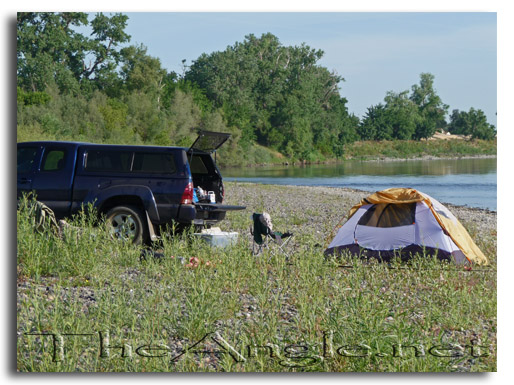 [Image: Fly Fishing for American Shad]