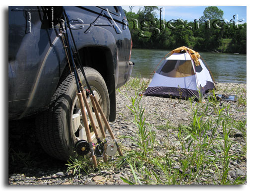 [Image: Fly Fishing for American Shad]