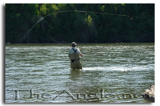 [Image: Spey Casting for California's American Shad]