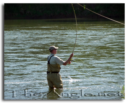[Image: Spey Casting for Shad]