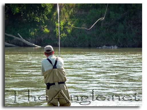 [Image: Spey Casting for Shad]