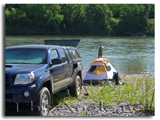 [Image: Fly Fishing for shad with spey fishing rods]