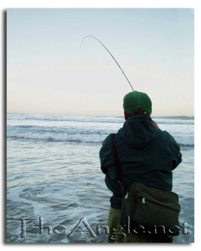 [Half Moon Bay Beach fishing]