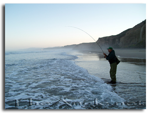 [Fly Fishing the California surf]