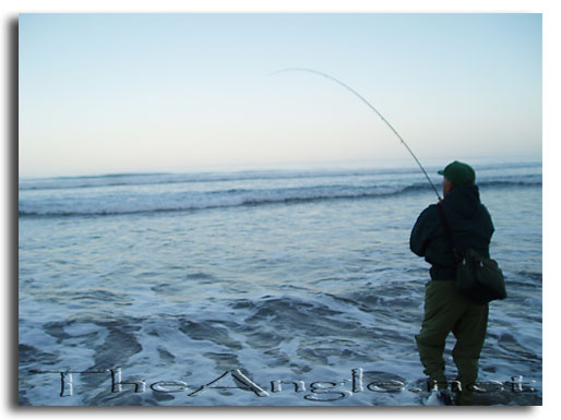 [Fishing Northern California surf]