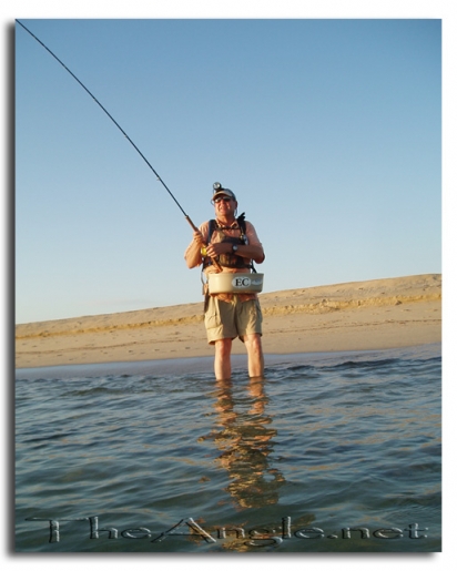 [Baja Beach Fly Fishing, Jim Squyres bent rod]