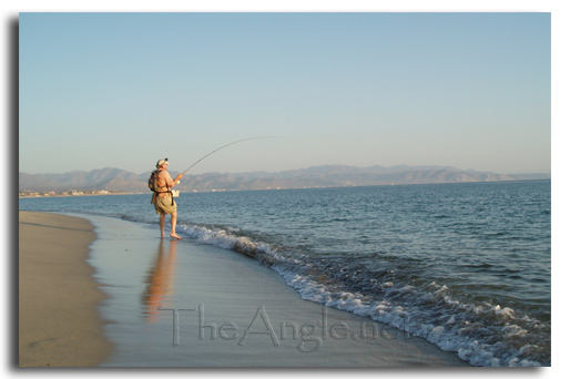 [Baja Beach Fly Fishing, Jim Squyres bent rod]