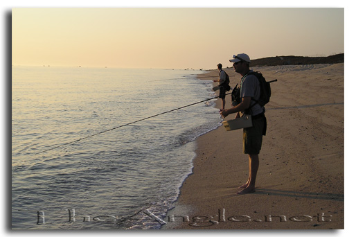 [Baja beach fly fishing, Doug and Brandon fly fishing the sea of cortez surf]