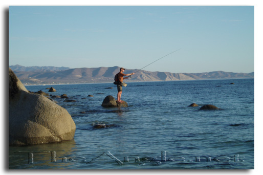 [Baja Beach Fly Fishing off the rocks]