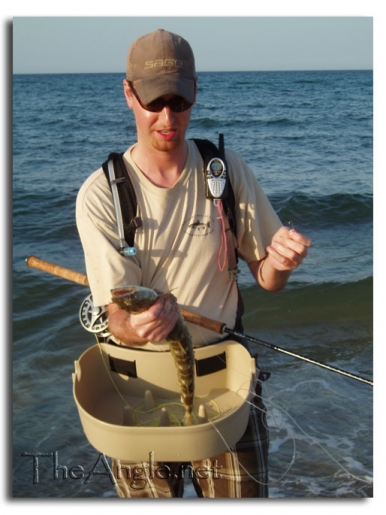 [Baja beach fly fishing, lizard fish on a fly]