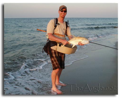 [Baja Beach Fly Fishing, 5 pound Jack Crevalle]