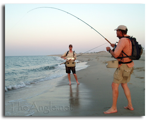 [Baja Beach Fly Fishing, Jack Crevalle double]