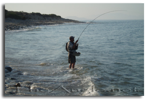 [Baja Beach Fly Fishing], Dad hooked-up