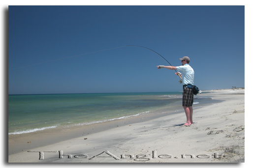 [Baja Beach Fly Fishing Brandon Squyres Hooked up]