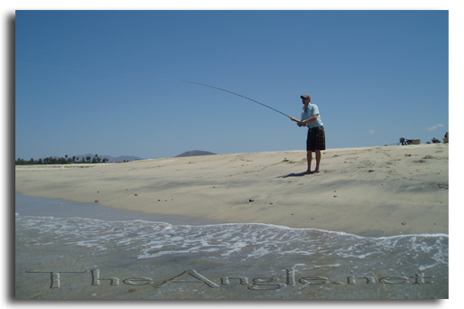 [Baja Beach Fly Fishing]