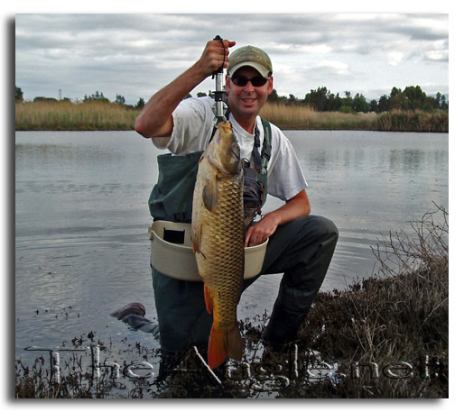 [Image Fly Fishing for Surf Perch]