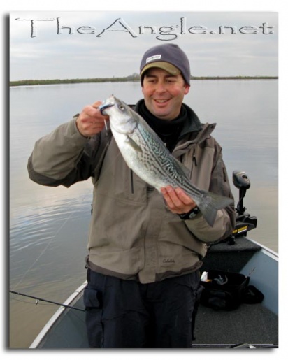 [Image, Delta Striper Fishing in January]