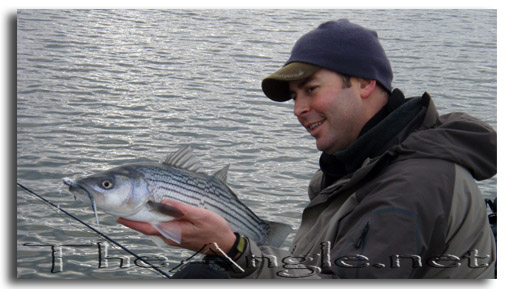 [Image, California Delta Winter Striper Fly Fishing]